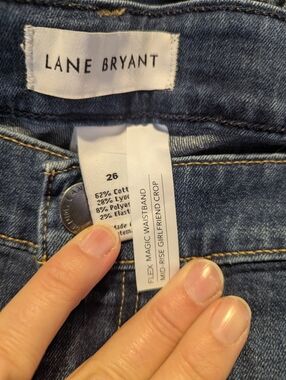 Lane Bryant Jeans